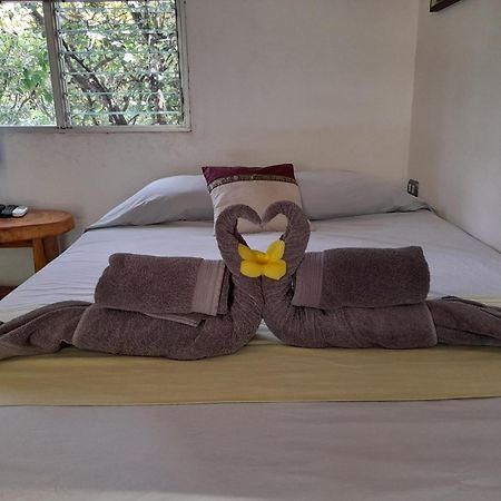 Hotel El Colibri Rojo - Cabinas - Le Colibri Rouge Cahuita Kamer foto